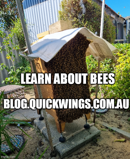 blog.quickwings.com.au